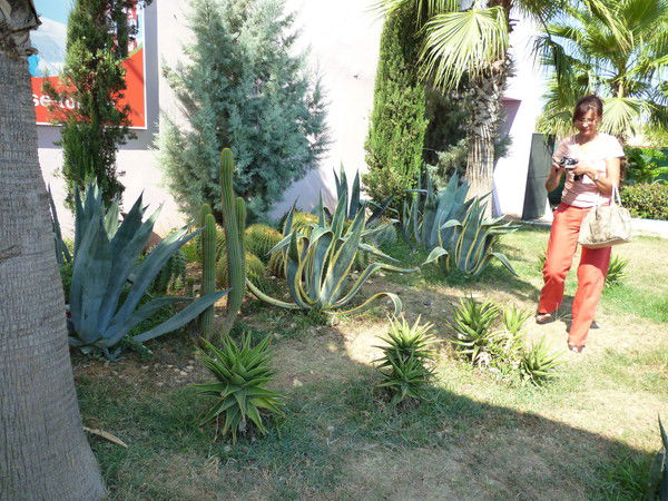 Маша Ефремова