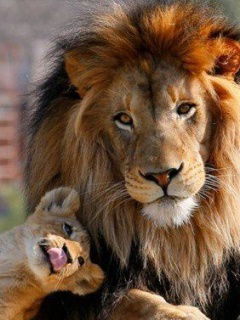 Альфинур Сагритдинова