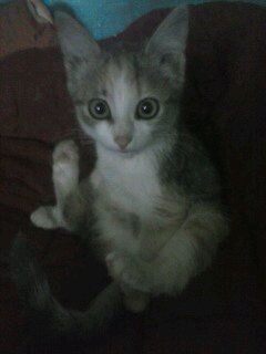 Лия Мазитова