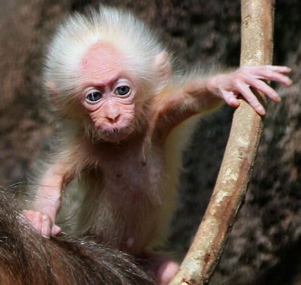 Андрей Саломонов