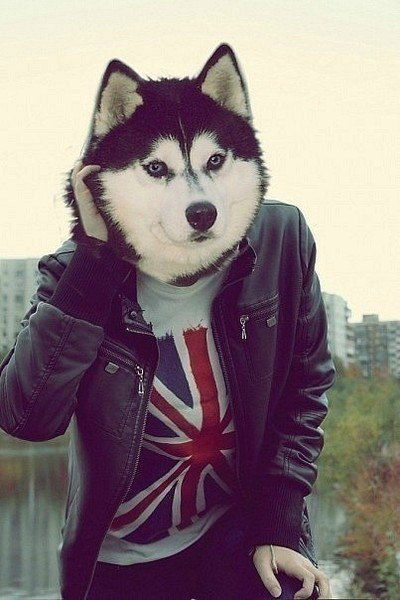 Евгений Ткачев