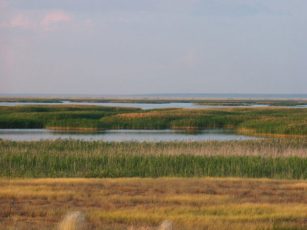 Гульшат Маханова