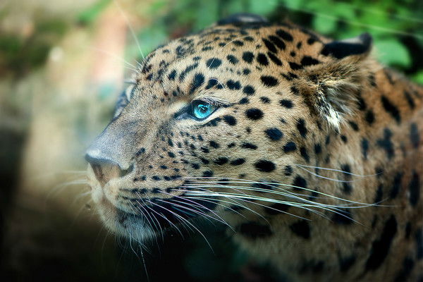 Зинагуль Махмутовна