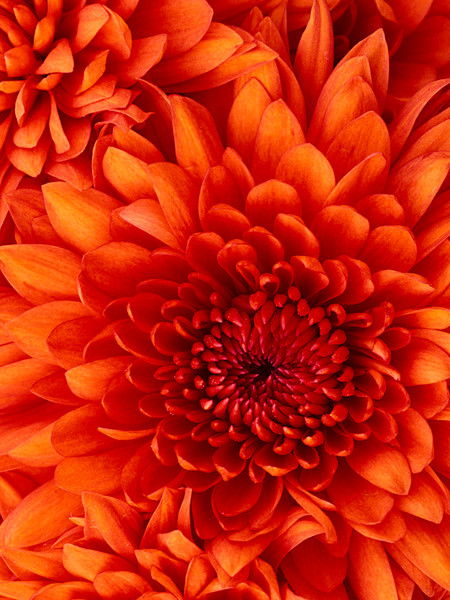 Махфуза Акимова