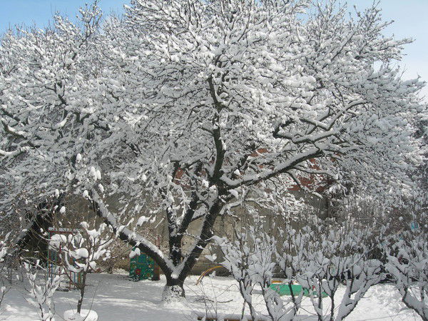 Детский Сад № 2 Орлёнок