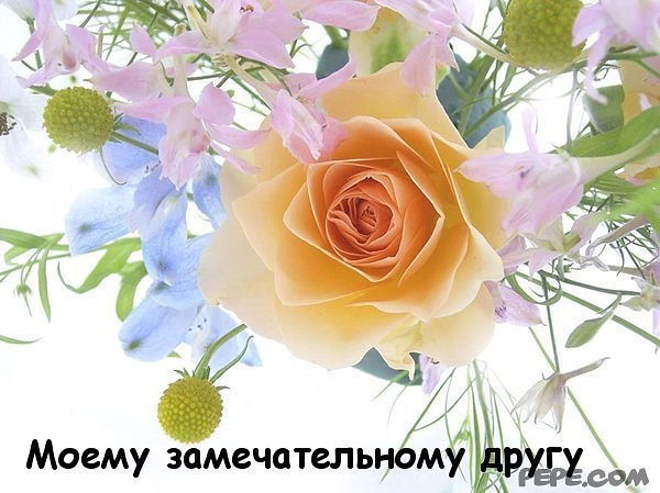 Альбина Виговская