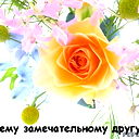 Альбина Виговская