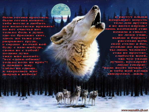 =Одинокий~ Волк=