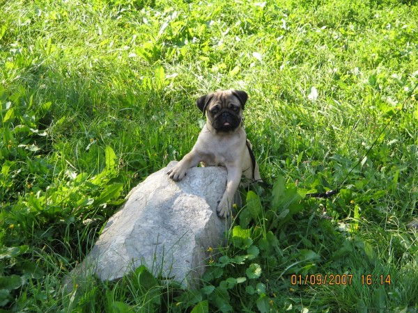 Валерий Никифоров