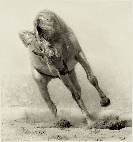 Татьяна Кузьмина