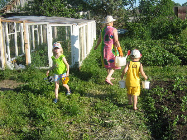 Светлана Сыроватская