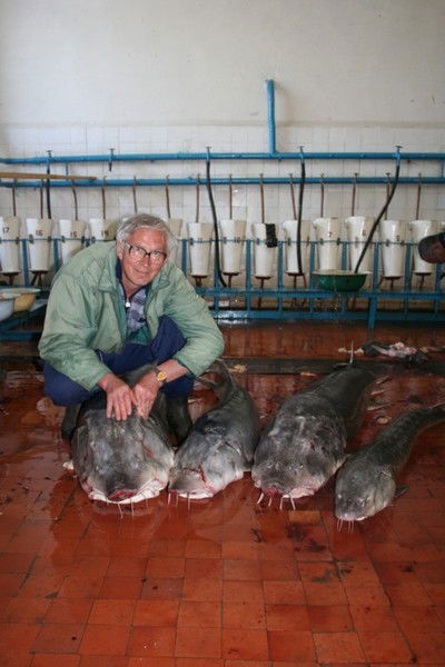 Игорь Тренклер