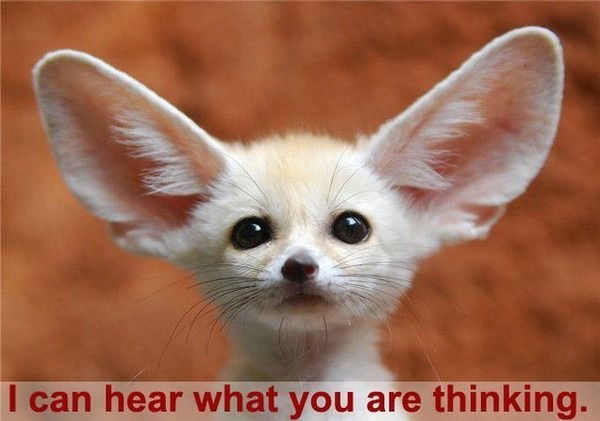 Юлия Кузьмина