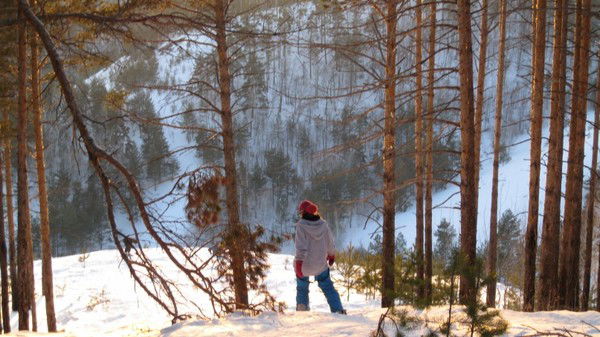 Елена Денисова