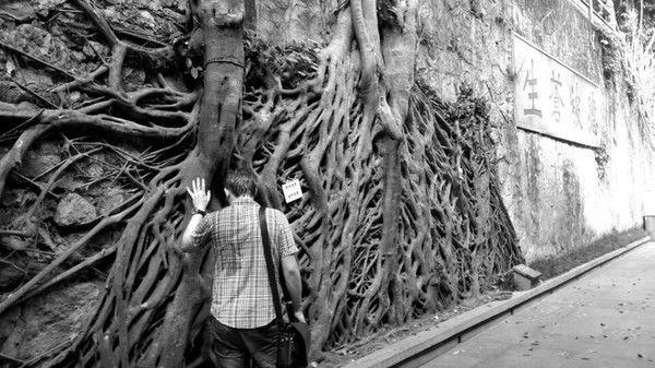 Андрей Рыбак