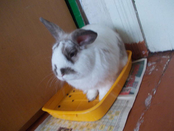 Валерия Тельнова