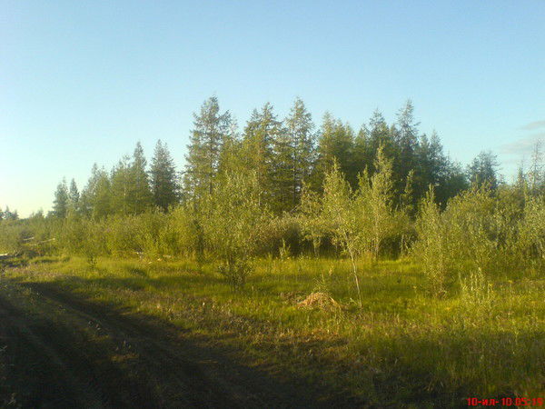 Терентий Слепцов