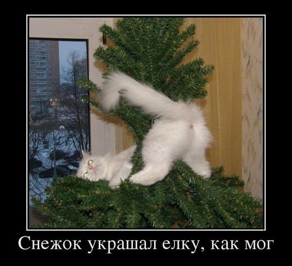 Уйъ Уйововичъ