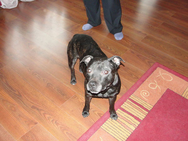 Захар Шашенко