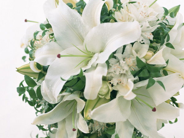 Александр Садчиков