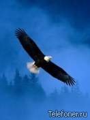 Александр Котляр