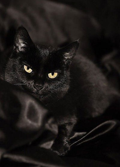 Артём Устюгов