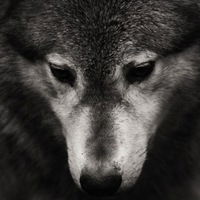 Абиль Фазылов