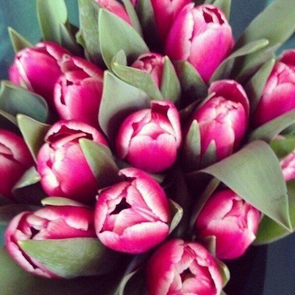 Жадыра Темиргалиева