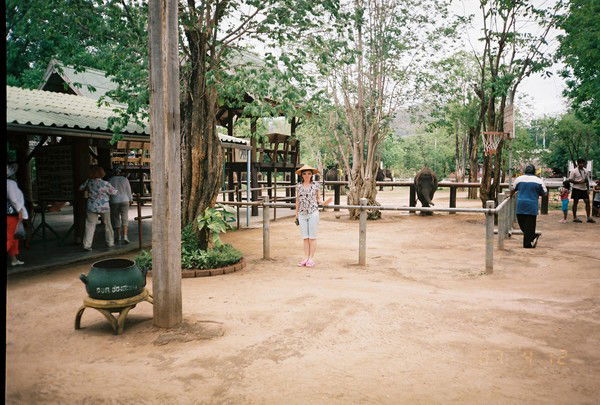 Елена Поспелова