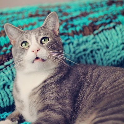 Дима Брюханов