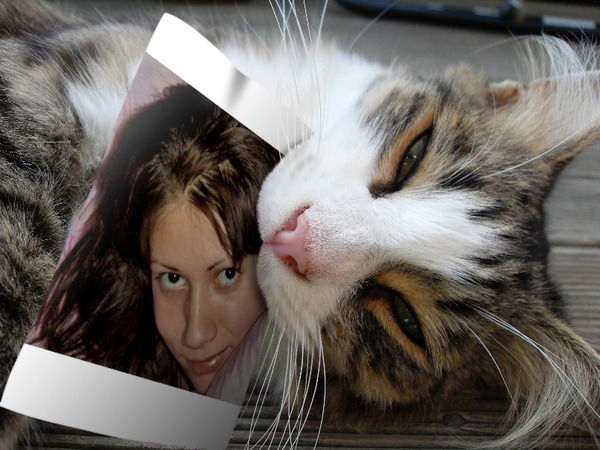 Ксения Новикова