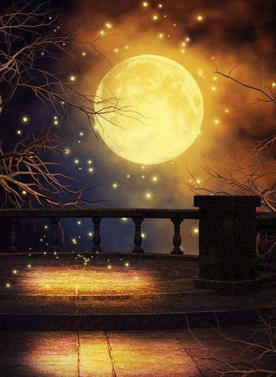 Линда Абу-Атила