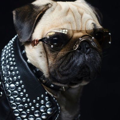 Роман Титович