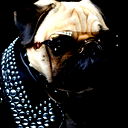 Роман Титович