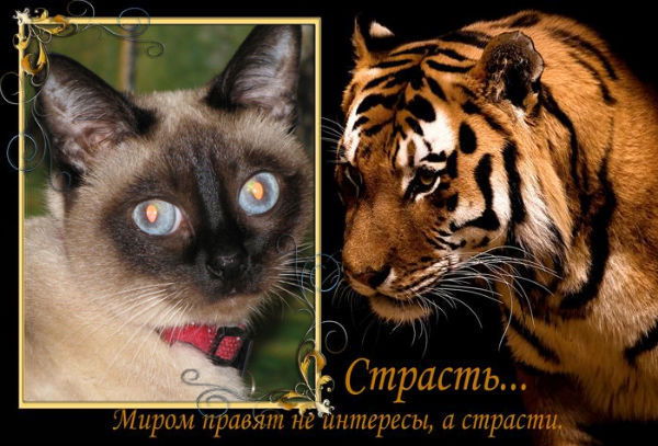 Марина Фёдорова