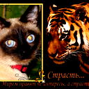 Марина Фёдорова