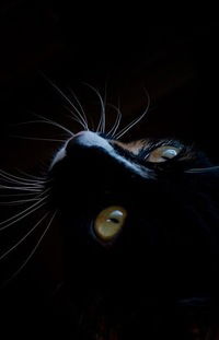 Екатерина Валерьевна