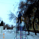 Алексей Шульга