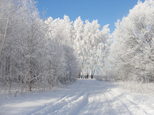 Сергей Конотоп