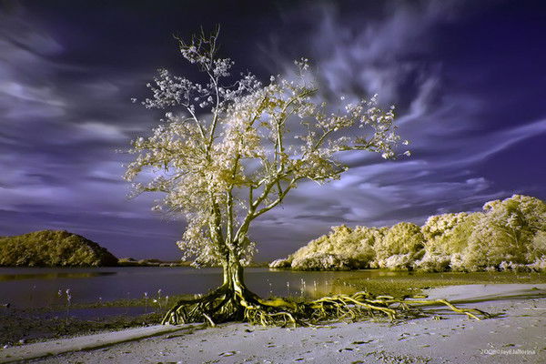 A.р.у.ж.@.н @.n.g.el