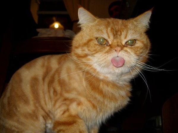 Ирина Шимко