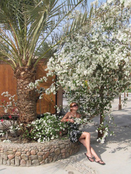 Дарья Дудник