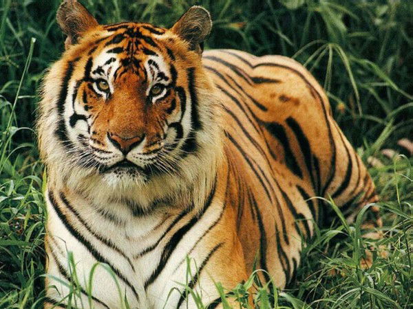 Айдар Абулхалыков