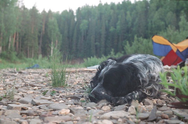 Андрей Вяткин