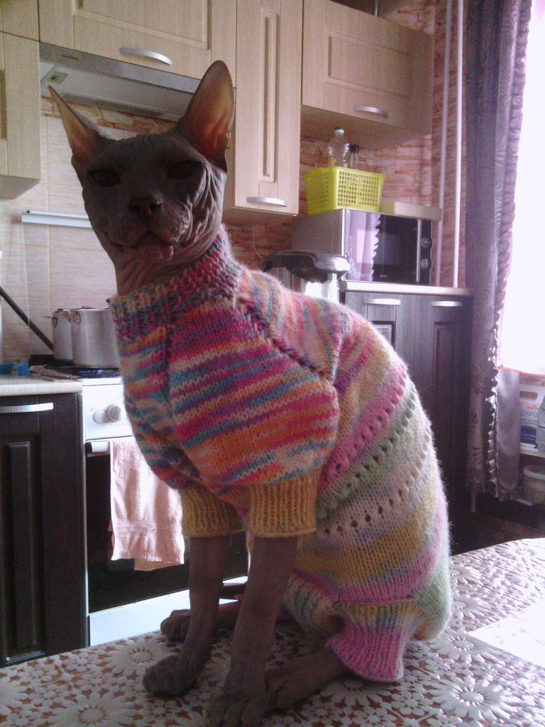 Екатерина Оплетина