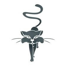 Елена Чернова