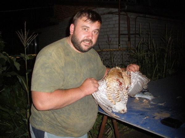 Артем Грицай