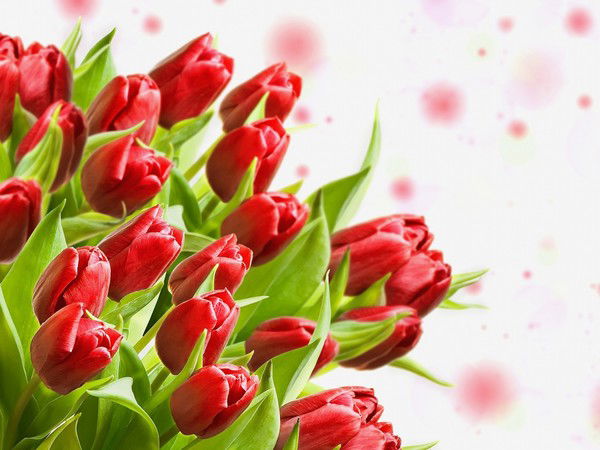 Бух Ка 168/5 Бух Ука 168/5