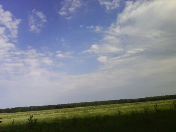 Людмила Соина