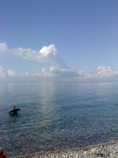 Дарья Гладышева(Добродомова)